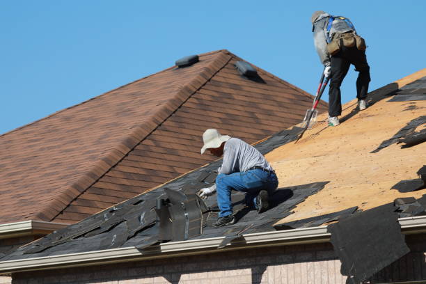 Best Asphalt Shingle Roofing  in La Grange Park, IL